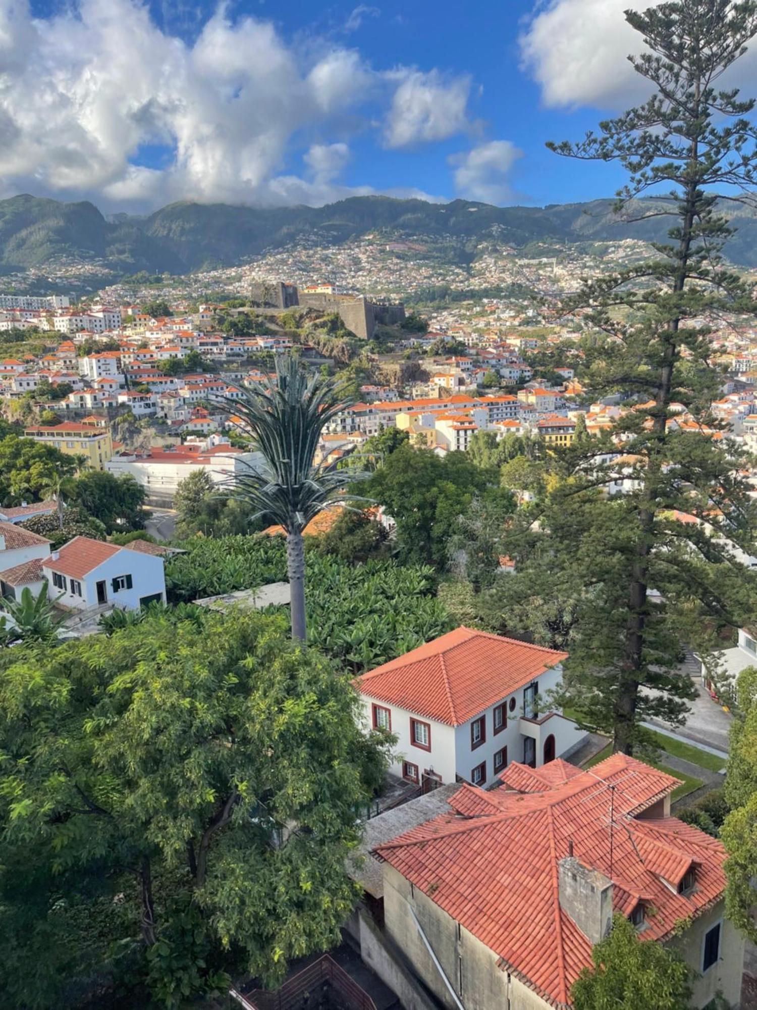 In Town View Leilighet Funchal  Eksteriør bilde
